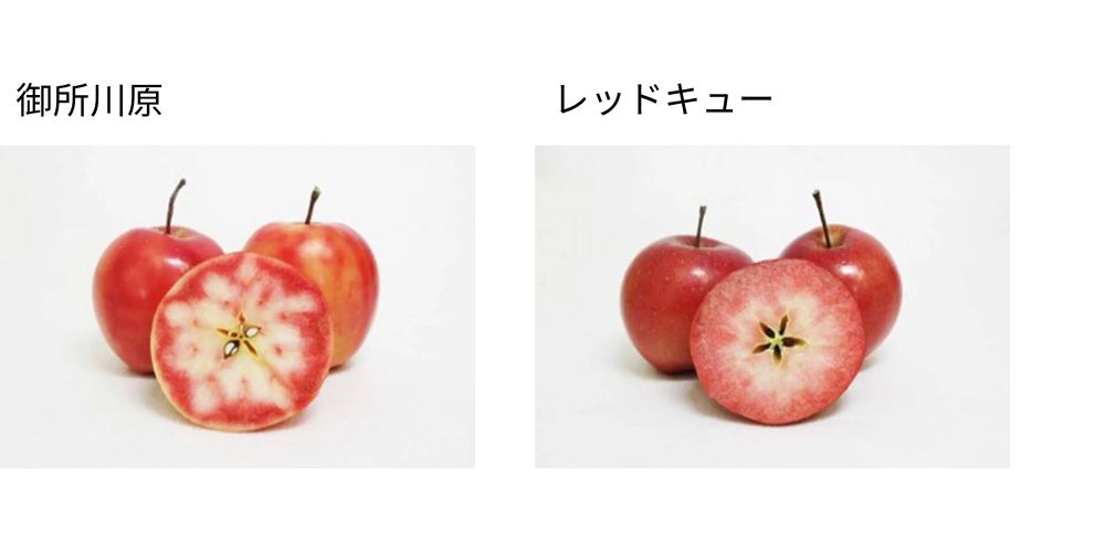 MOHODORI LOVEVADOS Bruce 蘋果白蘭地 黃昏採用青森特產紅心蘋果,不僅果皮,果肉也呈現紅色,獨特的酸味與澀味,加熱後紅色仍能保持